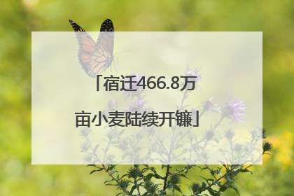 宿迁466.8万亩小麦陆续开镰