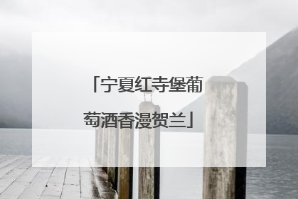 宁夏红寺堡葡萄酒香漫贺兰