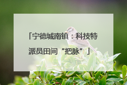 宁德城南镇：科技特派员田间“把脉”