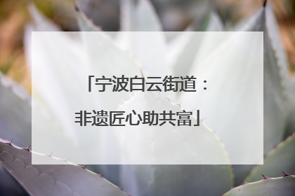 宁波白云街道：非遗匠心助共富