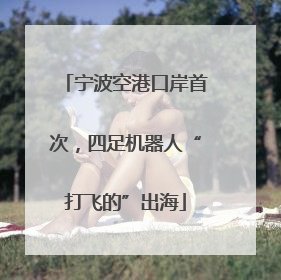 宁波空港口岸首次，四足机器人“打飞的”出海