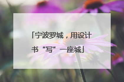 宁波罗城，用设计书“写”一座城