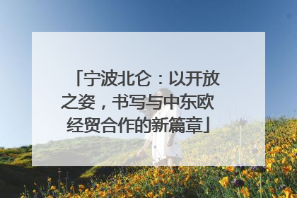 宁波北仑：以开放之姿，书写与中东欧经贸合作的新篇章