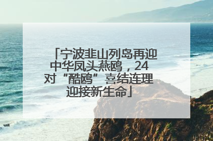 宁波韭山列岛再迎中华凤头燕鸥，24对“酷鸥”喜结连理迎接新生命