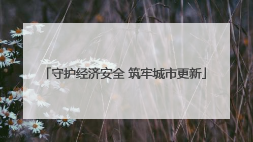 守护经济安全 筑牢城市更新