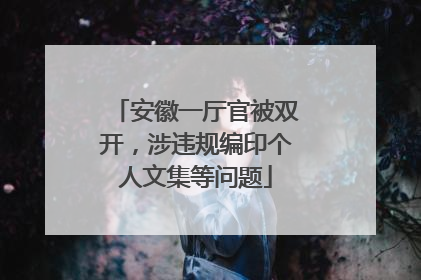 安徽一厅官被双开，涉违规编印个人文集等问题