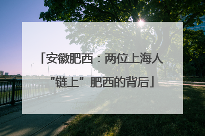 安徽肥西：两位上海人“链上”肥西的背后