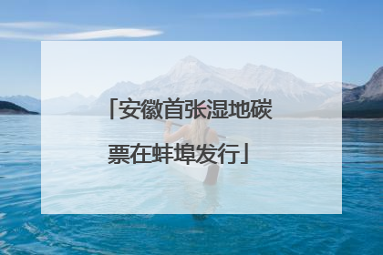安徽首张湿地碳票在蚌埠发行
