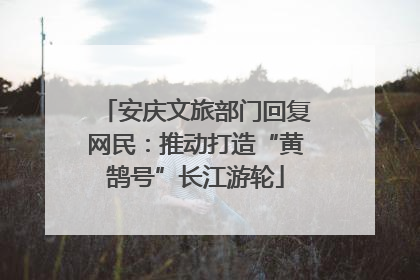安庆文旅部门回复网民：推动打造“黄鹄号”长江游轮