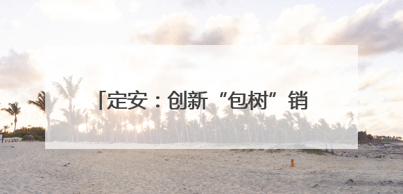 定安：创新“包树”销售等模式，助力荔枝产业转型升级和品牌打造
