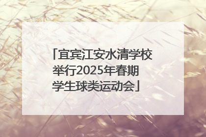 宜宾江安水清学校举行2025年春期学生球类运动会