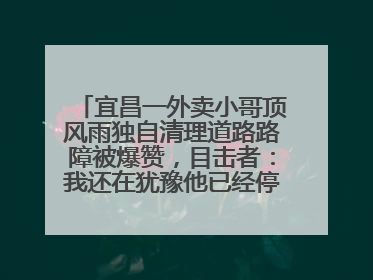 宜昌一外卖小哥顶风雨独自清理道路路障被爆赞，目击者：我还在犹豫他已经停车清障了