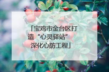 宝鸡市金台区打造“心灵驿站” 深化心防工程