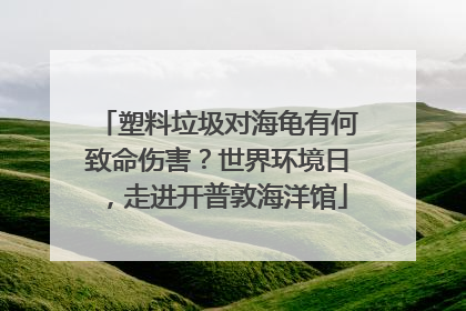 塑料垃圾对海龟有何致命伤害？世界环境日，走进开普敦海洋馆
