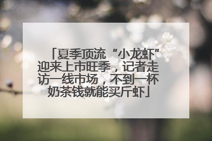 夏季顶流“小龙虾”迎来上市旺季，记者走访一线市场，不到一杯奶茶钱就能买斤虾