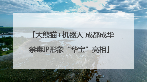 大熊猫+机器人 成都成华禁毒IP形象“华宝”亮相