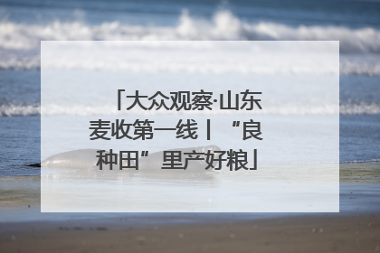 大众观察·山东麦收第一线丨“良种田”里产好粮