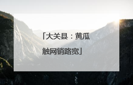 大关县：黄瓜触网销路宽