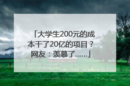 大学生200元的成本干了20亿的项目？网友：羡慕了……