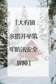 大有镇：多措并举筑牢防汛安全屏障