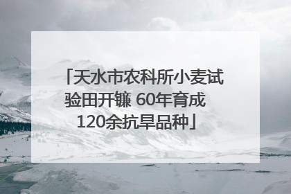 天水市农科所小麦试验田开镰 60年育成120余抗旱品种