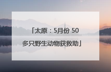 太原：5月份 50多只野生动物获救助
