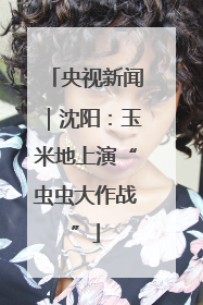 央视新闻｜沈阳：玉米地上演“虫虫大作战”