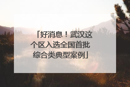 好消息！武汉这个区入选全国首批综合类典型案例