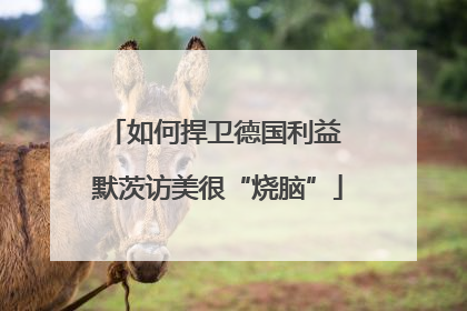 如何捍卫德国利益 默茨访美很“烧脑”