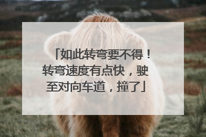 如此转弯要不得！转弯速度有点快，驶至对向车道，撞了