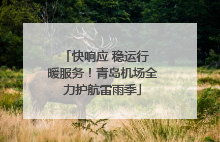 快响应 稳运行 暖服务！青岛机场全力护航雷雨季