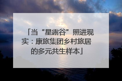 当“星露谷”照进现实：康旅集团乡村旅居的多元共生样本