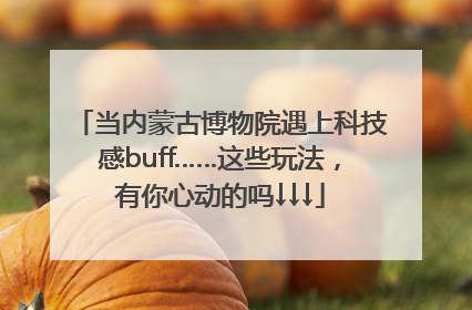 当内蒙古博物院遇上科技感buff……这些玩法，有你心动的吗↓↓↓