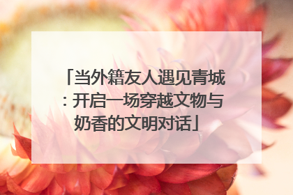当外籍友人遇见青城：开启一场穿越文物与奶香的文明对话
