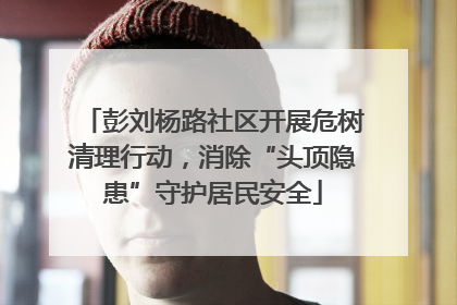 彭刘杨路社区开展危树清理行动，消除“头顶隐患”守护居民安全