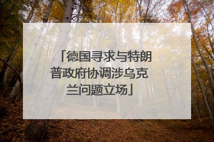 德国寻求与特朗普政府协调涉乌克兰问题立场