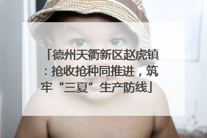 德州天衢新区赵虎镇：抢收抢种同推进，筑牢“三夏”生产防线