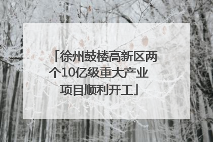 徐州鼓楼高新区两个10亿级重大产业项目顺利开工
