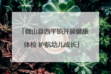 微山县西平镇开展健康体检 护航幼儿成长