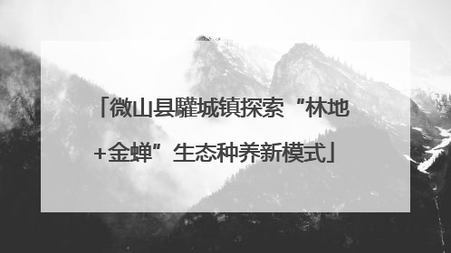微山县驩城镇探索“林地+金蝉”生态种养新模式