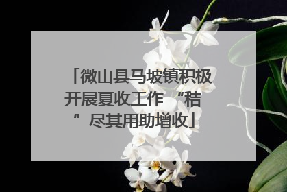 微山县马坡镇积极开展夏收工作 “秸”尽其用助增收