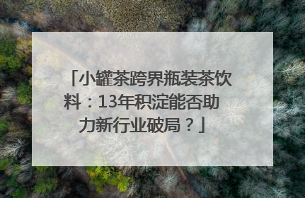 小罐茶跨界瓶装茶饮料：13年积淀能否助力新行业破局？