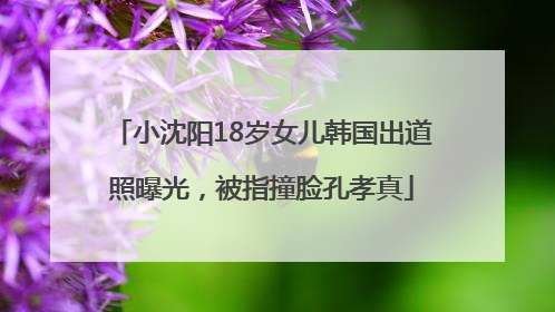 小沈阳18岁女儿韩国出道照曝光，被指撞脸孔孝真