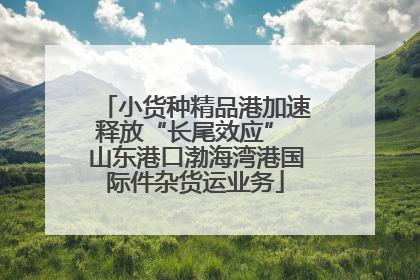 小货种精品港加速释放“长尾效应” 山东港口渤海湾港国际件杂货运业务