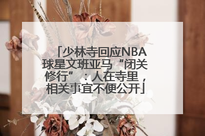 少林寺回应NBA球星文班亚马“闭关修行”：人在寺里，相关事宜不便公开