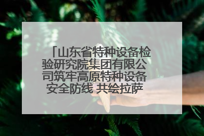 山东省特种设备检验研究院集团有限公司筑牢高原特种设备安全防线 共绘拉萨美好生活画卷