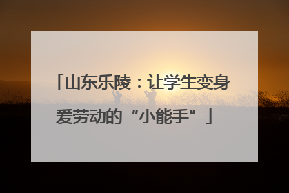 山东乐陵：让学生变身爱劳动的“小能手”