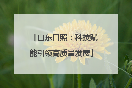 山东日照：科技赋能引领高质量发展