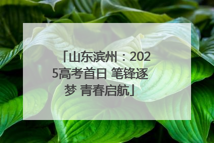 山东滨州：2025高考首日 笔锋逐梦 青春启航