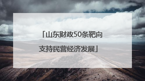 山东财政50条靶向支持民营经济发展